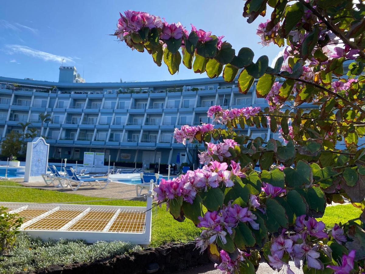 Apartmán Sofia Santa Úrsula Exteriér fotografie